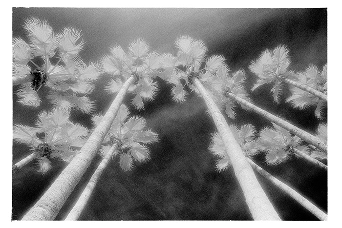 Photograph by Vallarie Enriquez